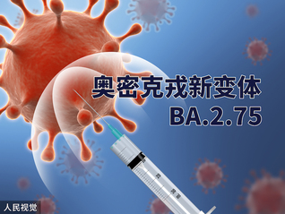 是王者啊?