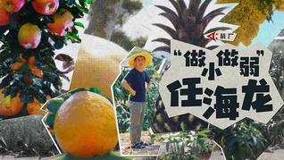 地铁出入口装修设计外形引发争议,广州地铁:已进行拆除