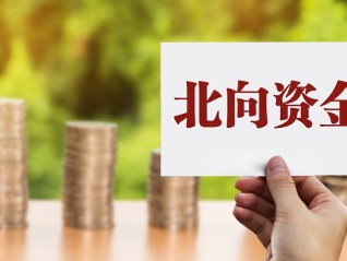 2024年西藏自治区法院执结案件31189件