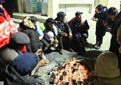 穿越林海雪原“伊春号”和你共迎新年