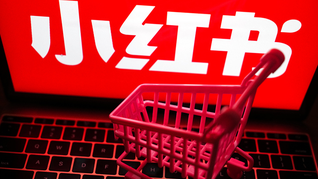 盘锦证件制作_盘锦制作证件_盘锦本地证件制作制作证件