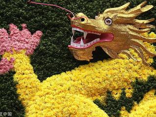 安徽制作证件和记娱乐怡情博娱app下载的联系方式-安徽制作证书联系电话-安徽做证各类仿证件电话