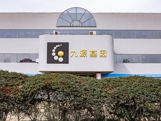 河南小麦进入越冬期整体长势好于去年同期