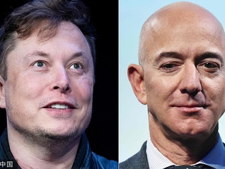 2024年你拍到了你家宠物的哪些可爱瞬间?
