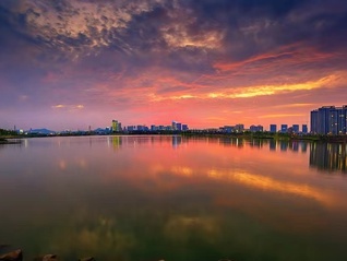 湖北唱响新长江之歌:江豚逐浪鹿鸣呦呦