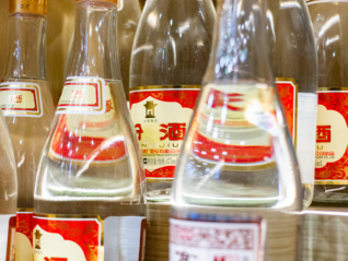 湖里:系列生态旅游活动之“暖冬煮茶赏花”温暖开启